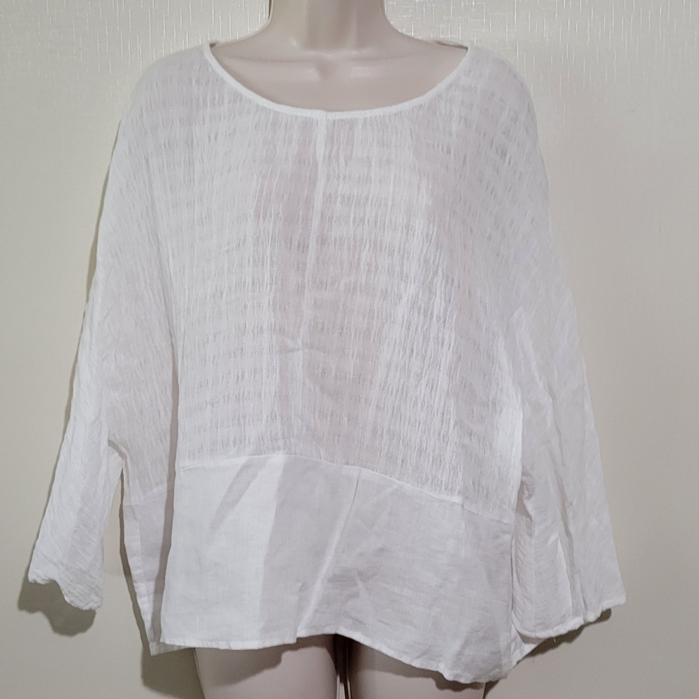 Joie Ivory Sheer Blouse